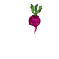 veggies (individual sticker)