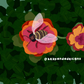 bee (art print)