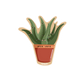 aloe vera plant (individual sticker)